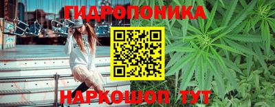 mdpv Тара