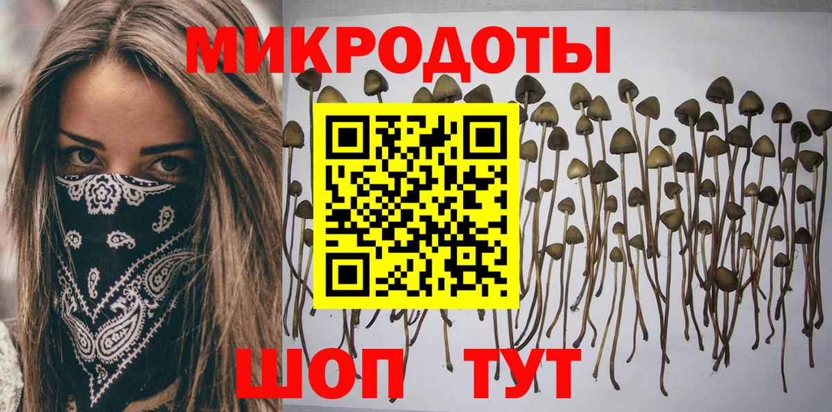 Псилоцибиновые грибы прущие грибы  Вход с VPN  Псилоцибиновые грибы Psilocybine cubensis  купить наркоту  Верхний Уфалей 