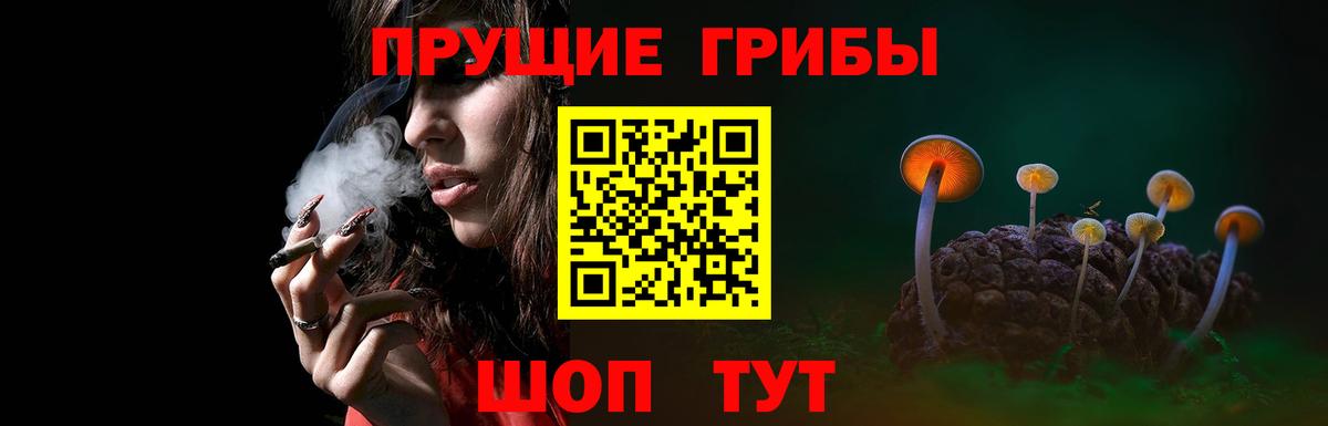 Псилоцибиновые грибы прущие грибы Верхний Уфалей